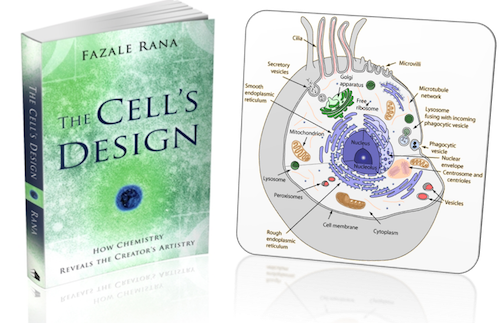 The Cell's Design / Hyperphysics